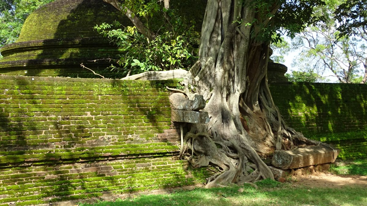 nochmal Angkor Wat