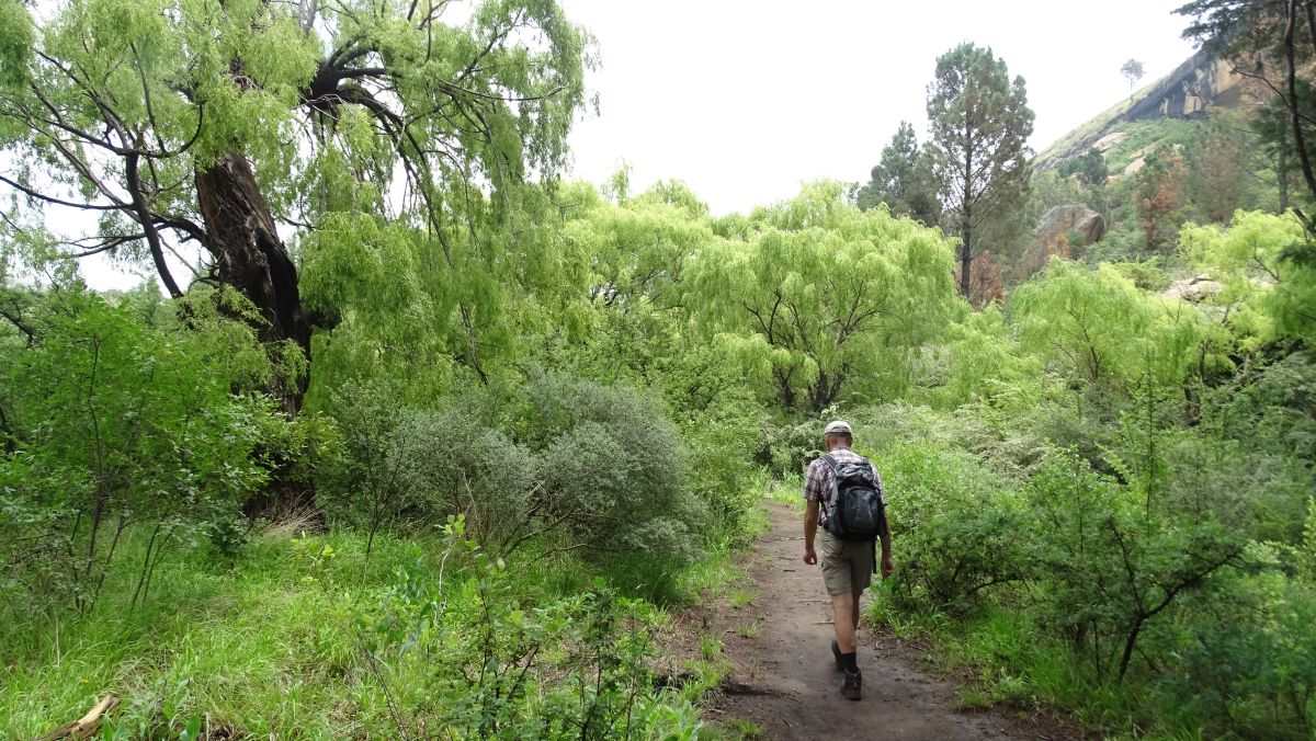 Wanderung durch ein Bachtal