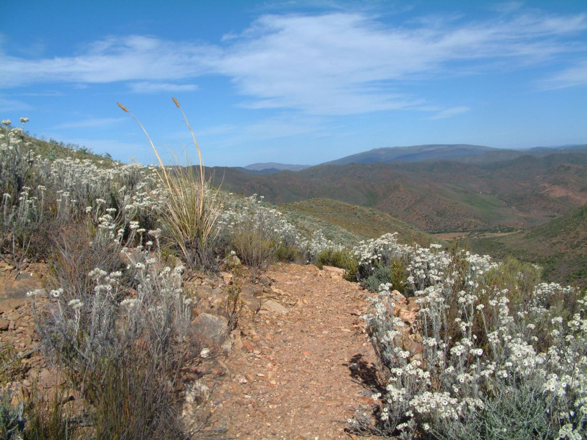 Wanderung um Barrydale