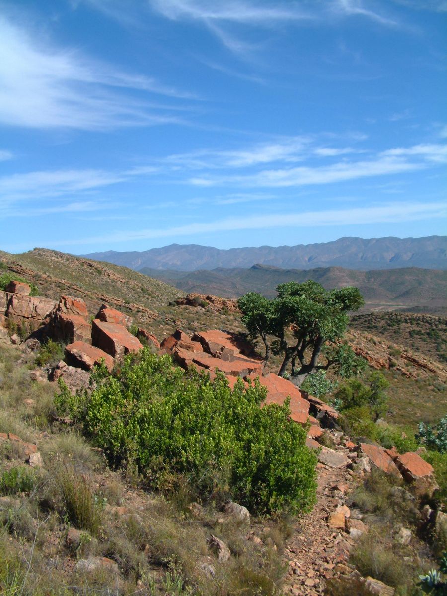 Wanderung um Barrydale