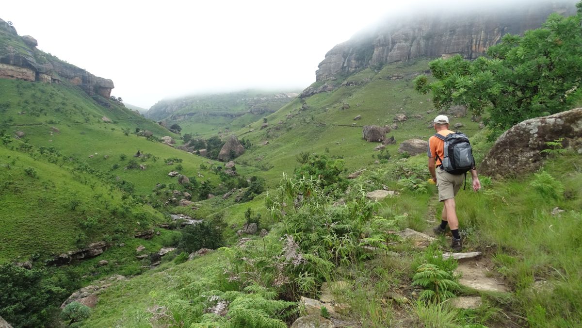 wieder aufwärts zur Witsieshoek Lodge