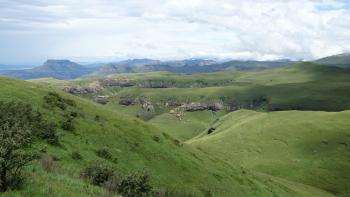 grün gewaschene Landschaft