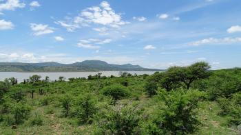 Spioenkop Nature Reserve