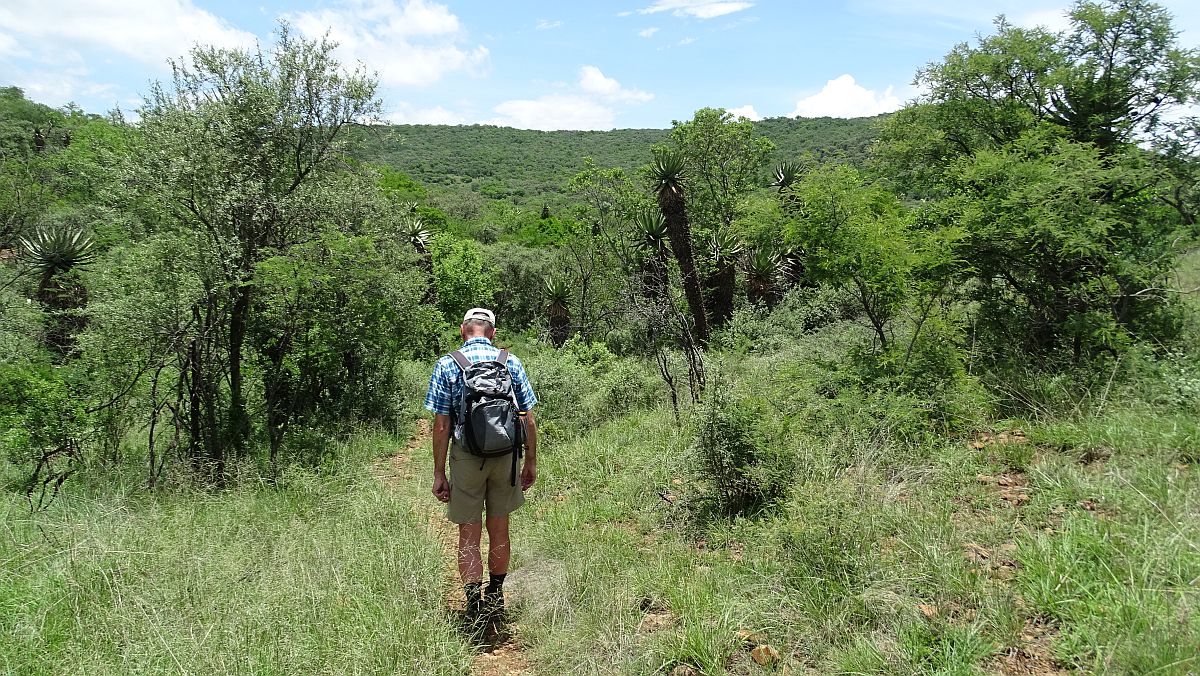 kleine Wanderung im Spioenkop Nature Reserve