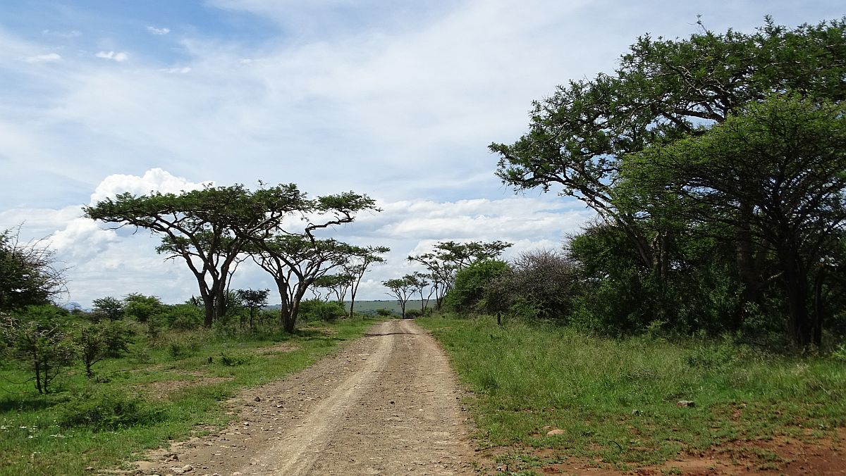 Spioenkop Nature Reserve