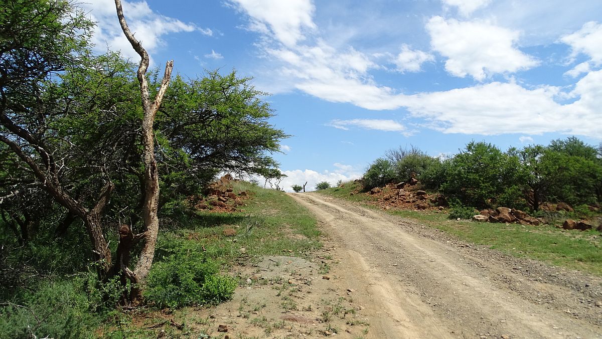 Spioenkop Nature Reserve