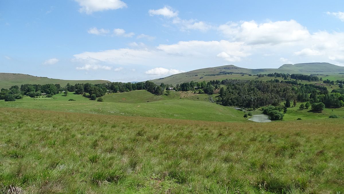 Landschaft bei Underberg