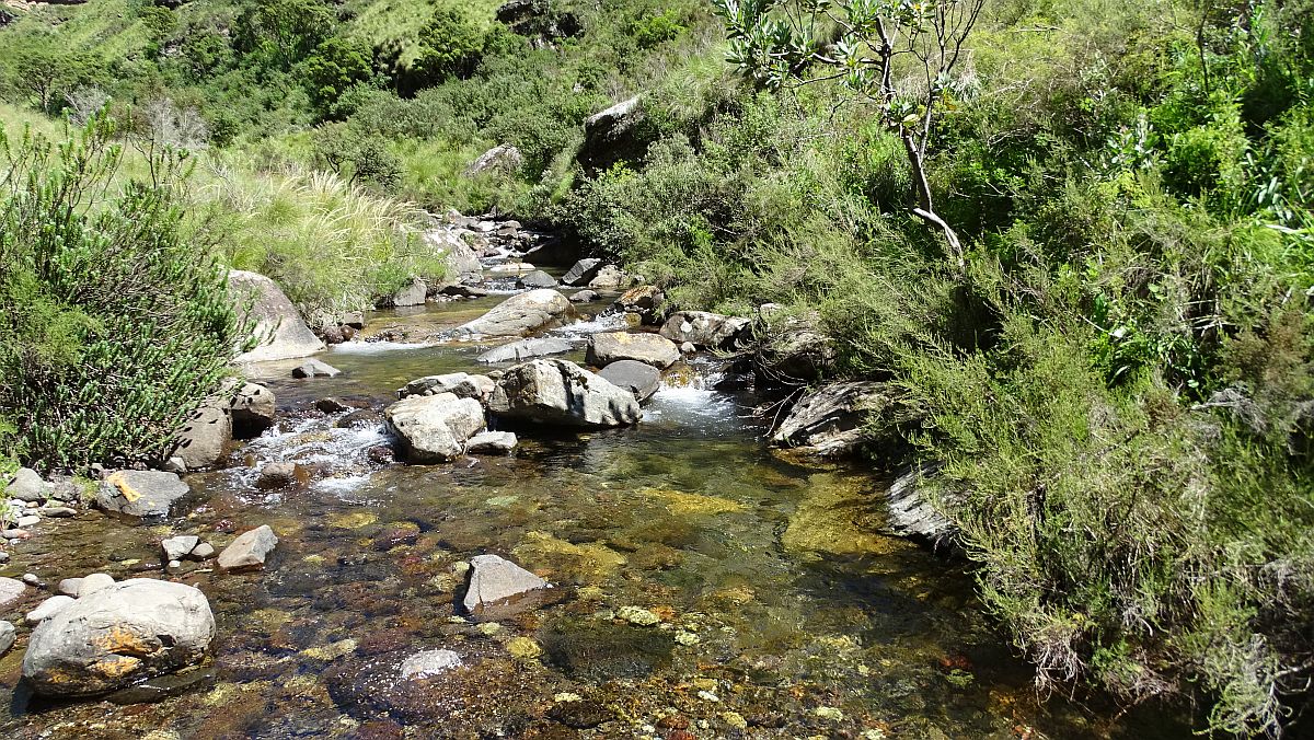 das Wasser soll Trinkwasserqualität haben