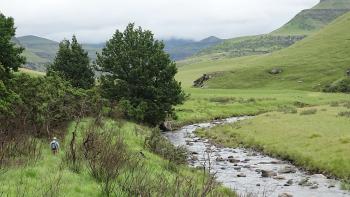 Pholela River