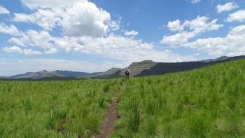 weite Landschaft