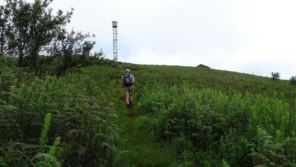 Oben auf der Alm