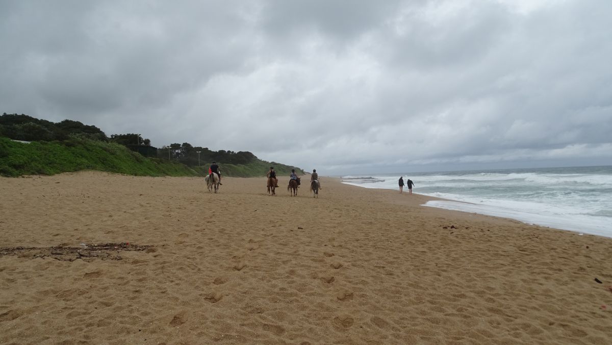 Reiter am Strand