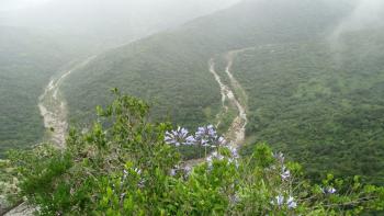 Oribi-Schlucht