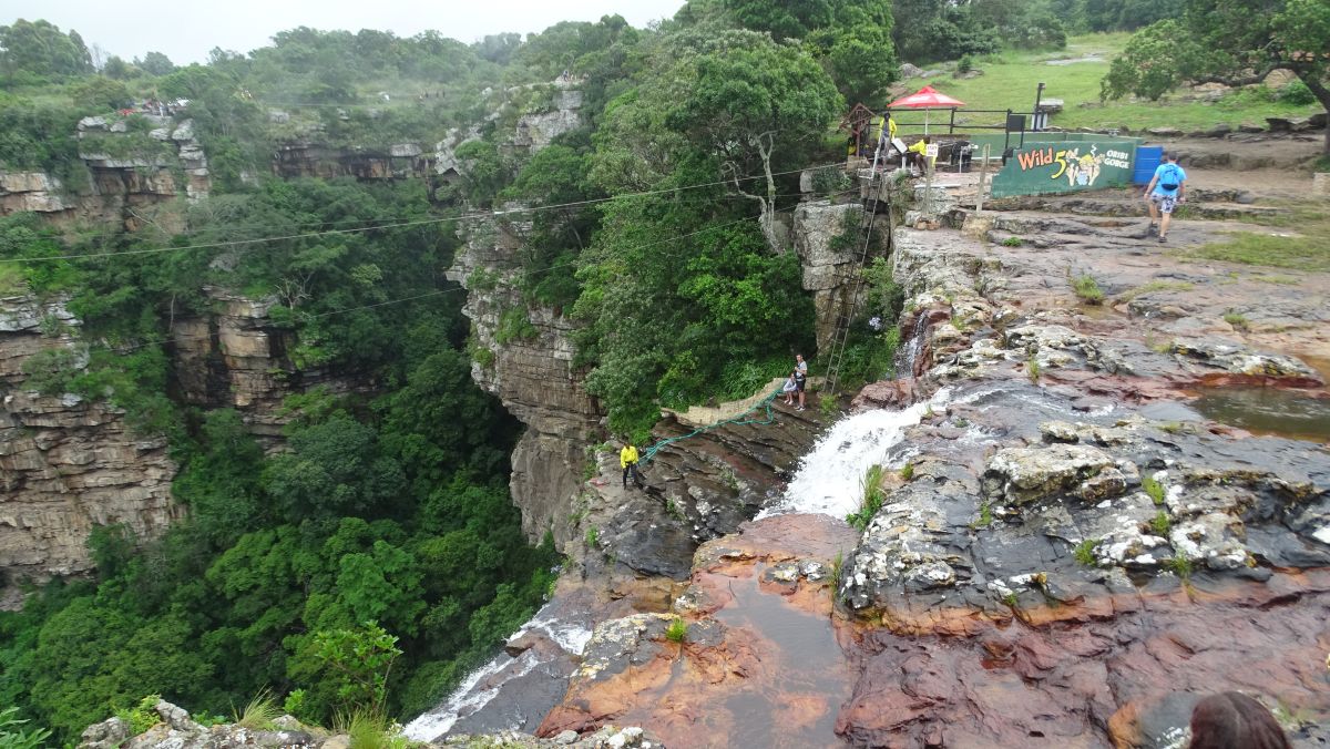 Klippenspinger an einem Wasserfall