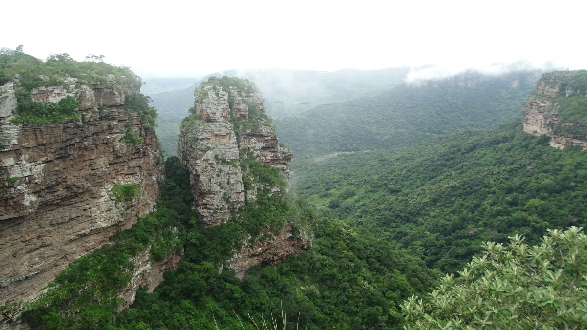 Oribi-Schlucht