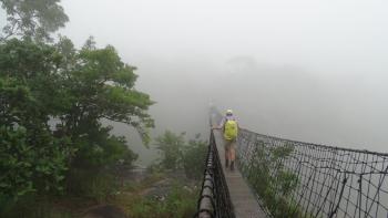 Brücke ins Nichts?