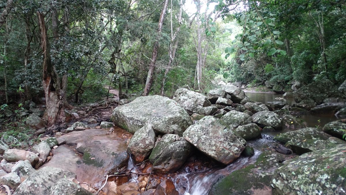 Kleiner Bach, der den Wasserfall speist