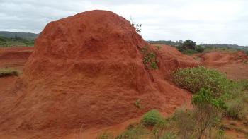 "Red Desert"