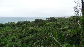 Ausguck in Frederika Nature Preserve