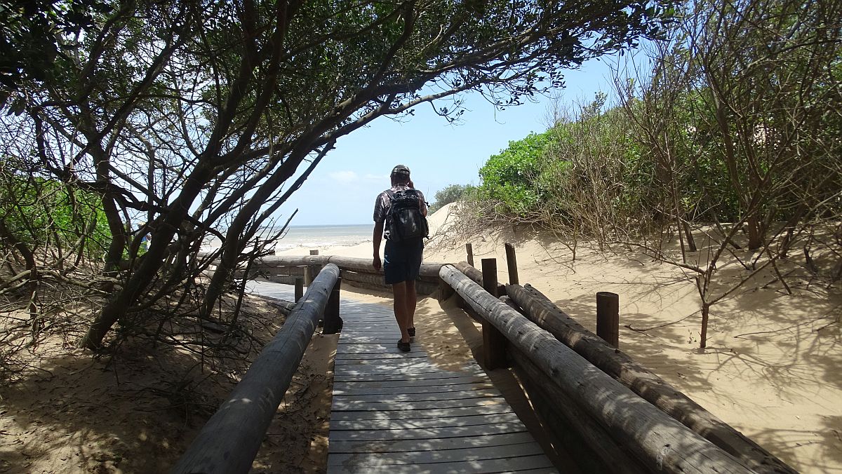 Umlalazi Nature Reserve bei Mtunzini