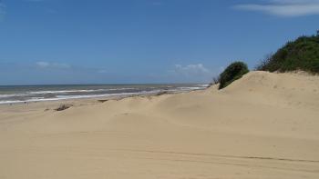 Strand im Umlalazi Nature Reserve bei Mtunzini