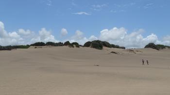 Strand im Umlalazi Nature Reserve bei Mtunzini