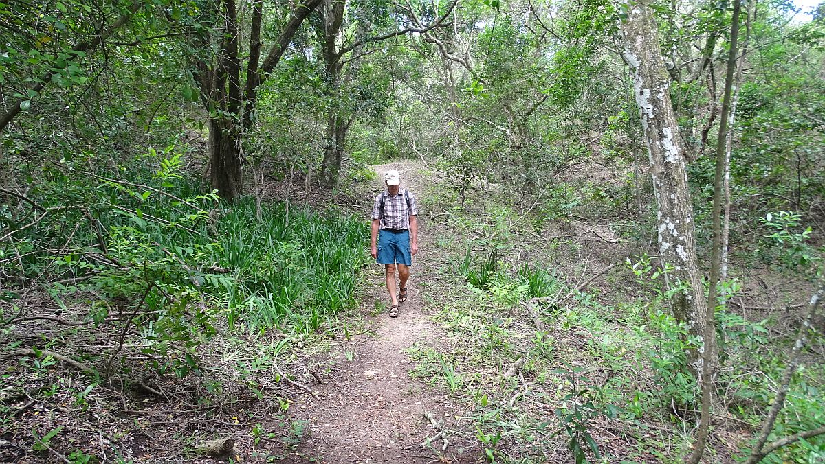 kleine Wanderung im Küstenwald des Umlalazi Nature Reserve