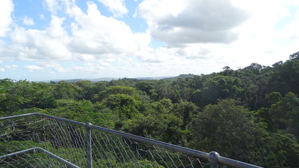 Blick vom Aussichtsturm