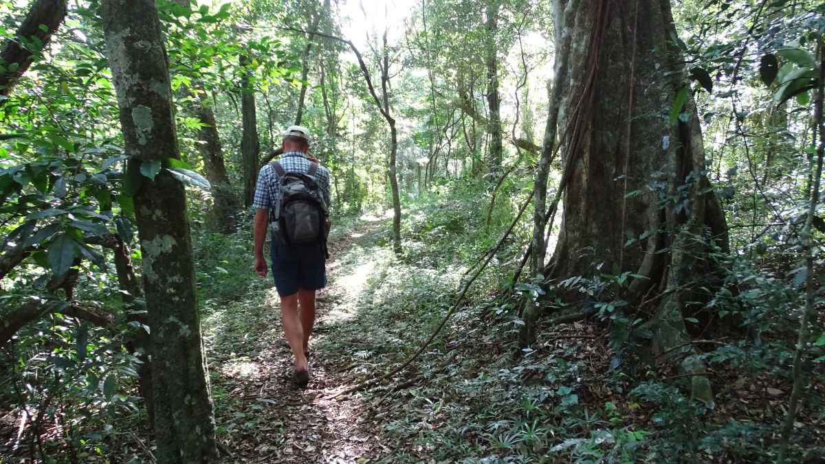 Wanderung im Dlinza Forest 