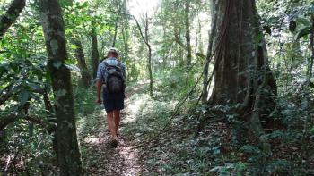 Wanderung im Dlinza Forest 