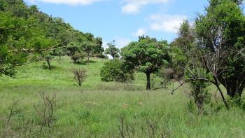 Vryheid Hill