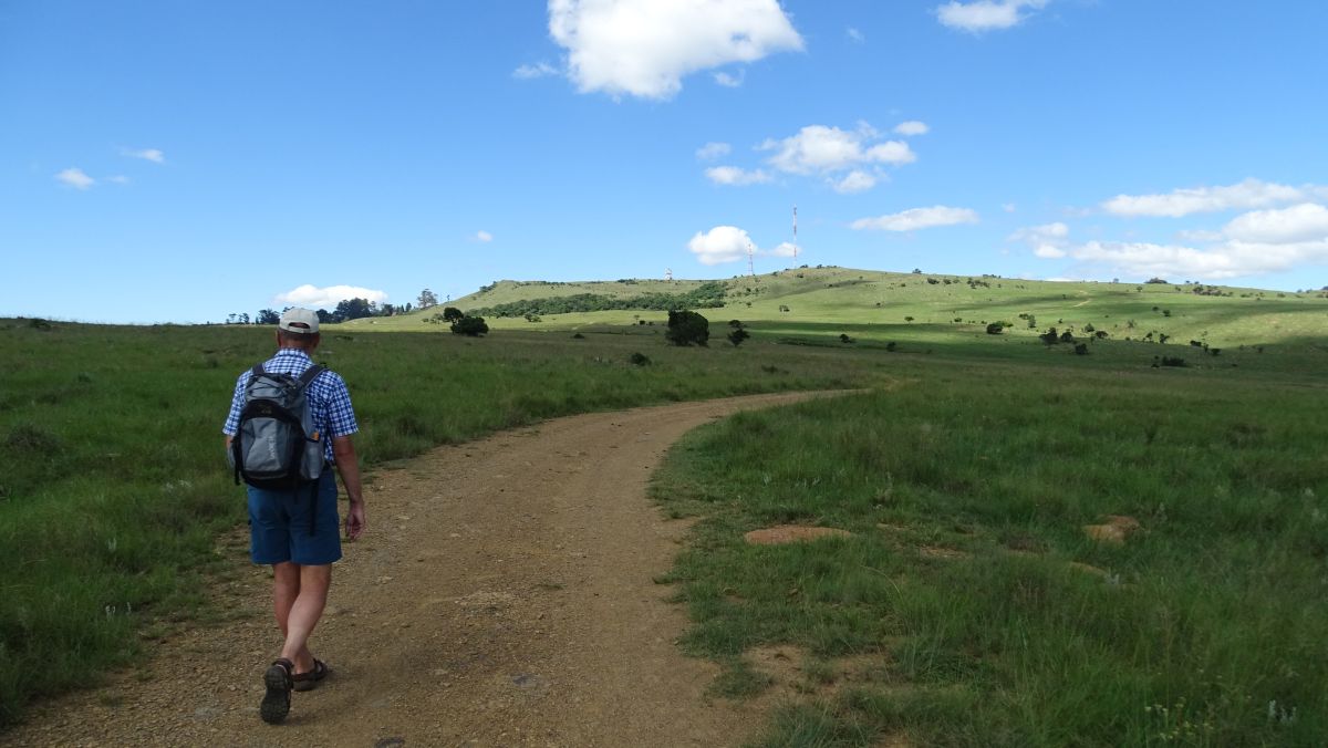 auf den Berg dort hinten wollen wir