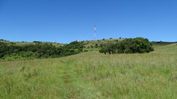 Signal Hill