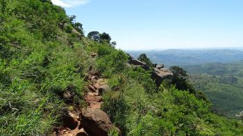 Bushbuck Trail