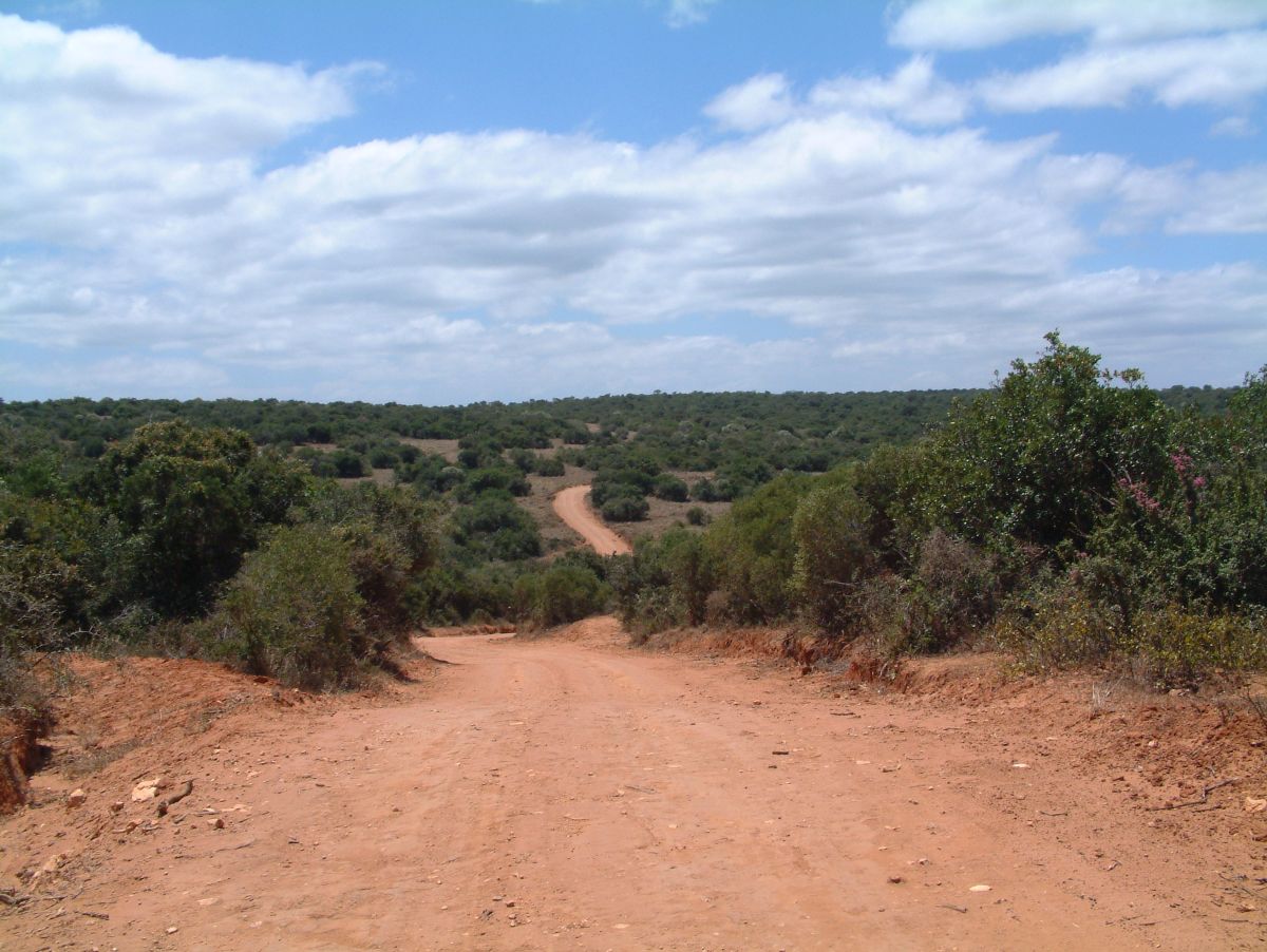 Wege im Addo Elephant Park