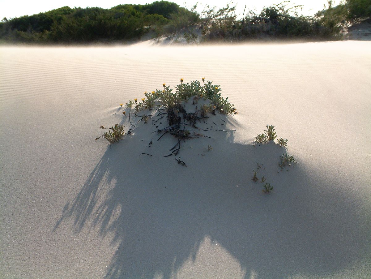 der Sand ist bewegt