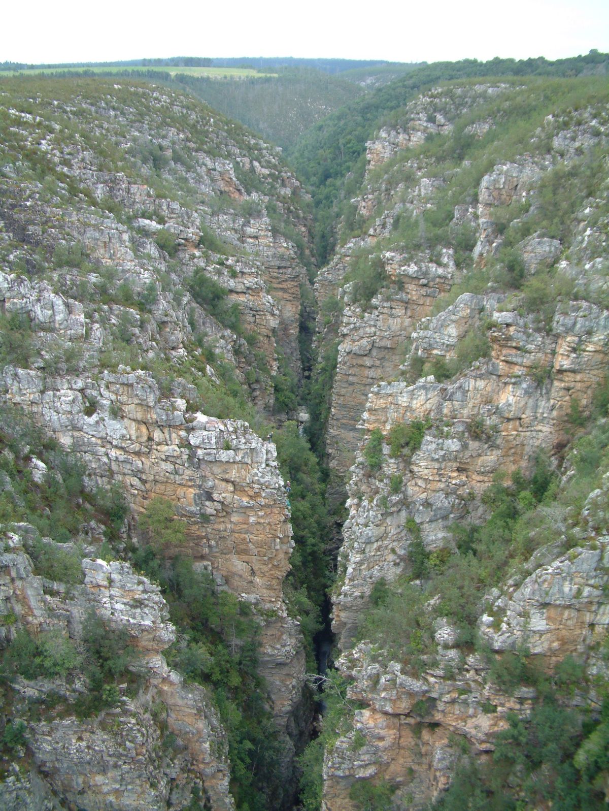 Blick von der Storms River Brücke in die Schlucht