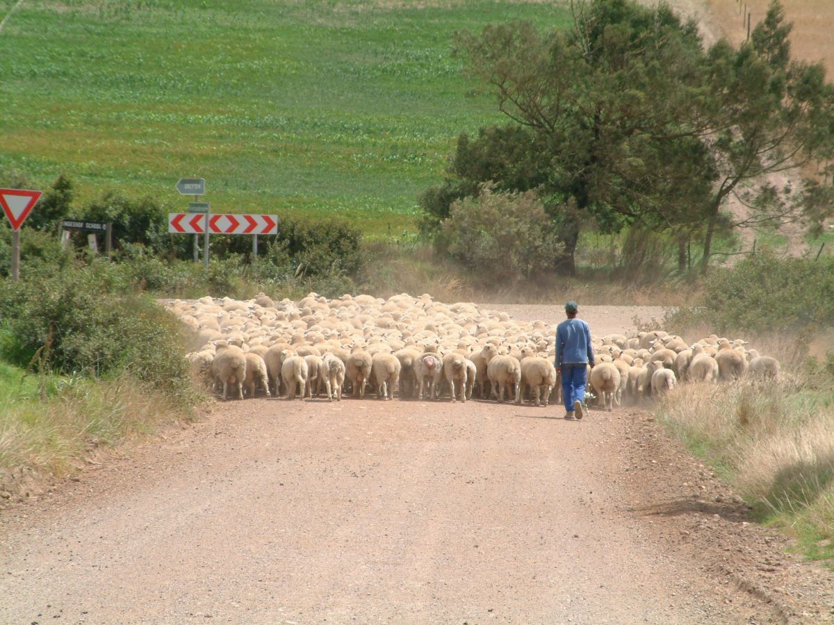 auf dem Weg nach Greyton