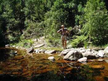 Wandern im The Big Tree & Forest Walk Wilderness