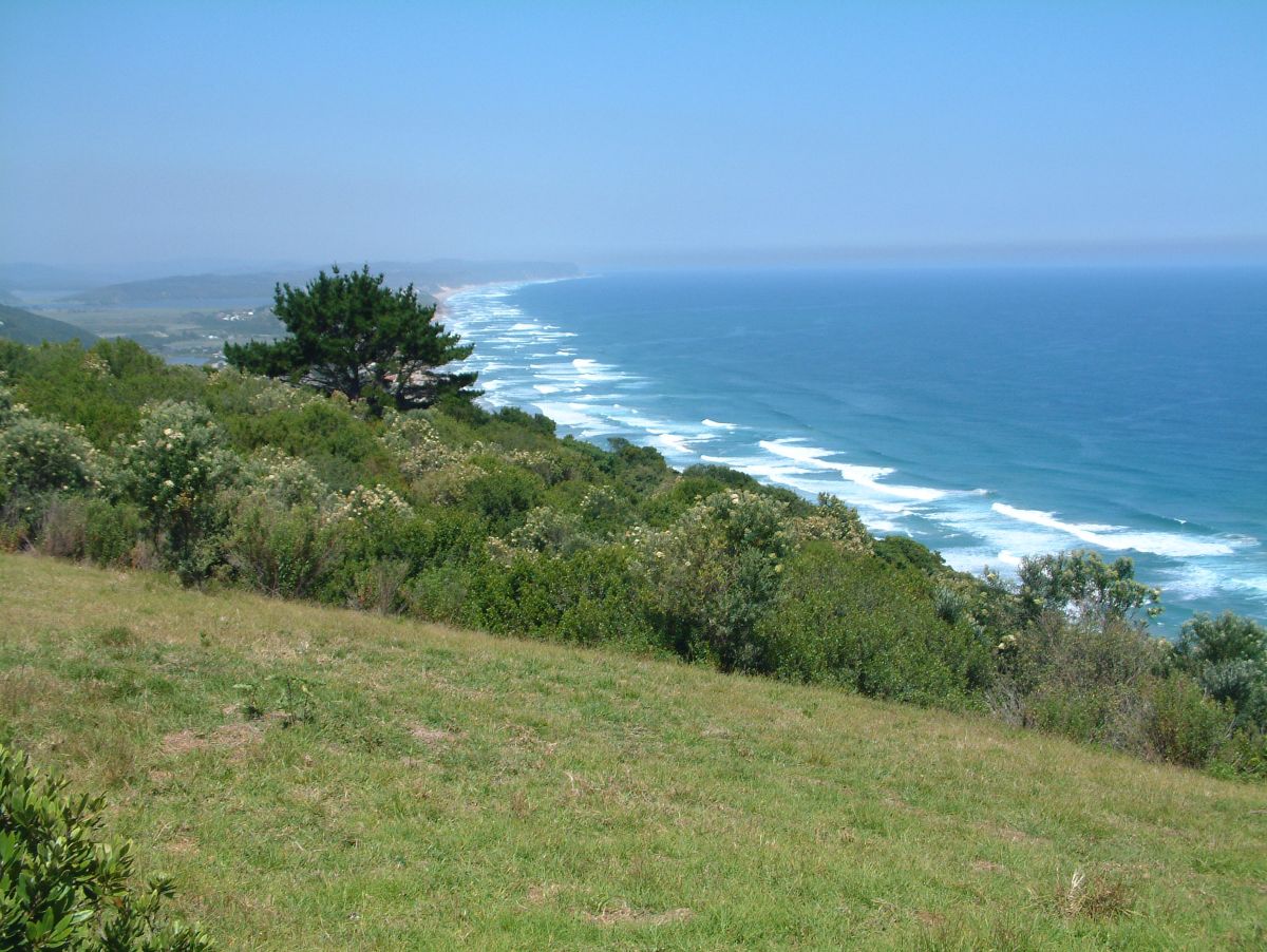 Strand bei Wilderness