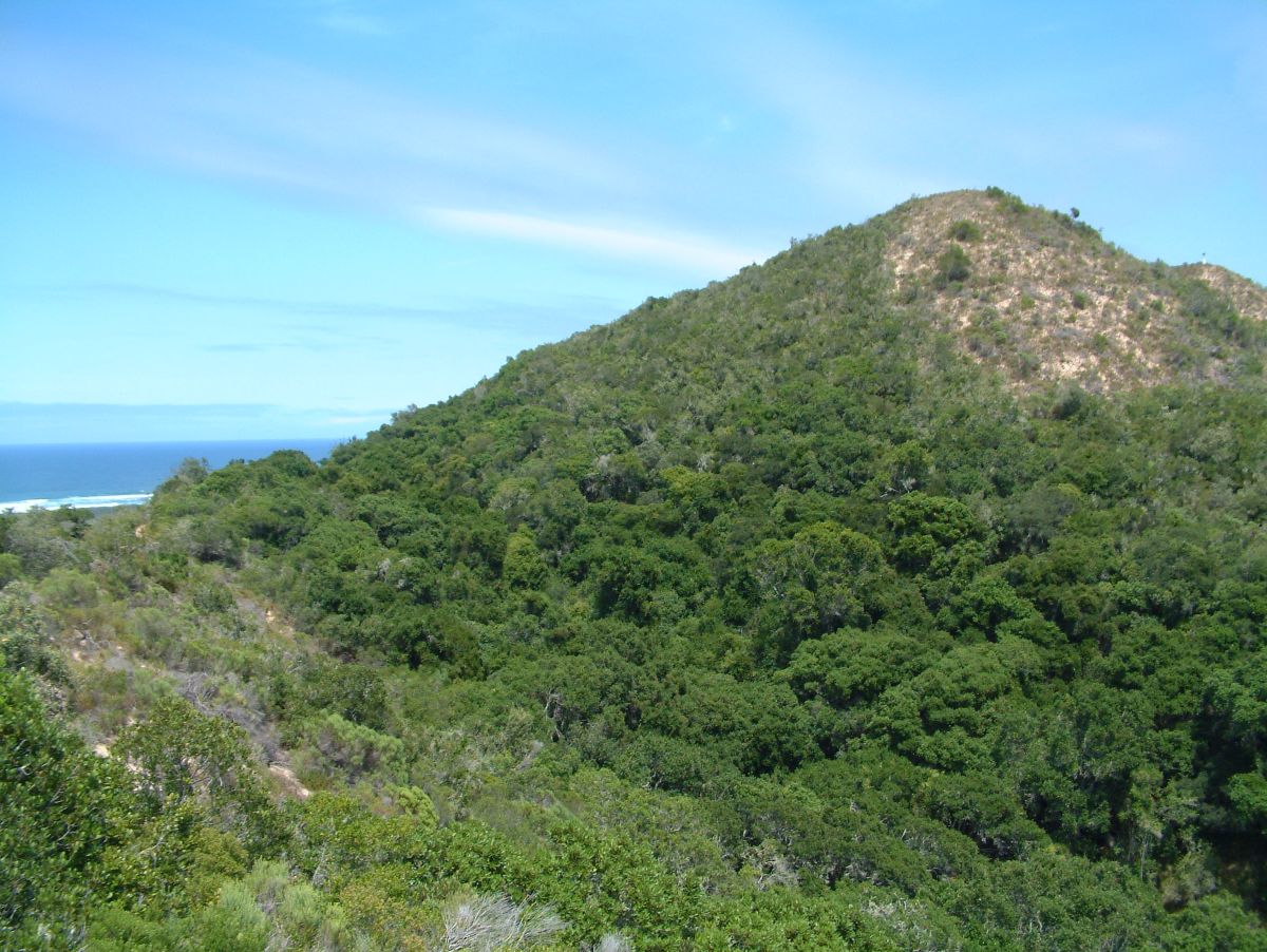 ein Berg, nur welcher?