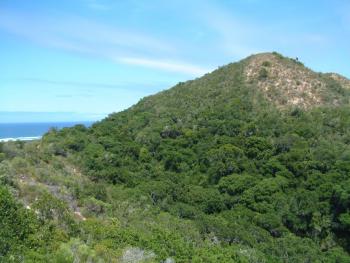 ein Berg, nur welcher?