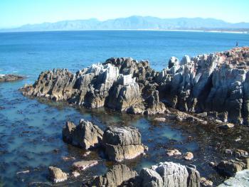Küste bei Gansbaai
