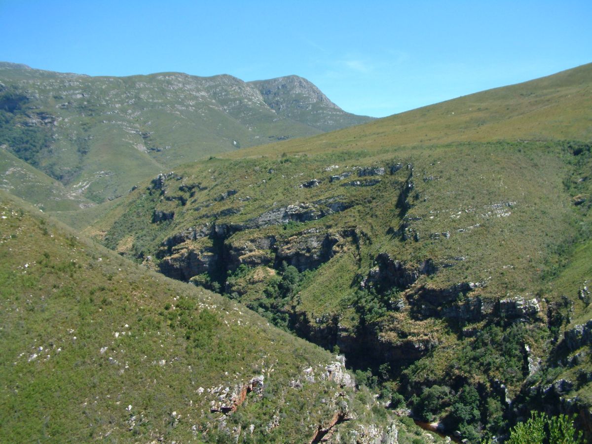 Schlucht auf dem Weg nach Barrydale