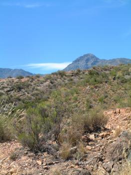 Wanderung um Barrydale