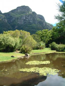 im Botanischen Garten von Kirstenbosch