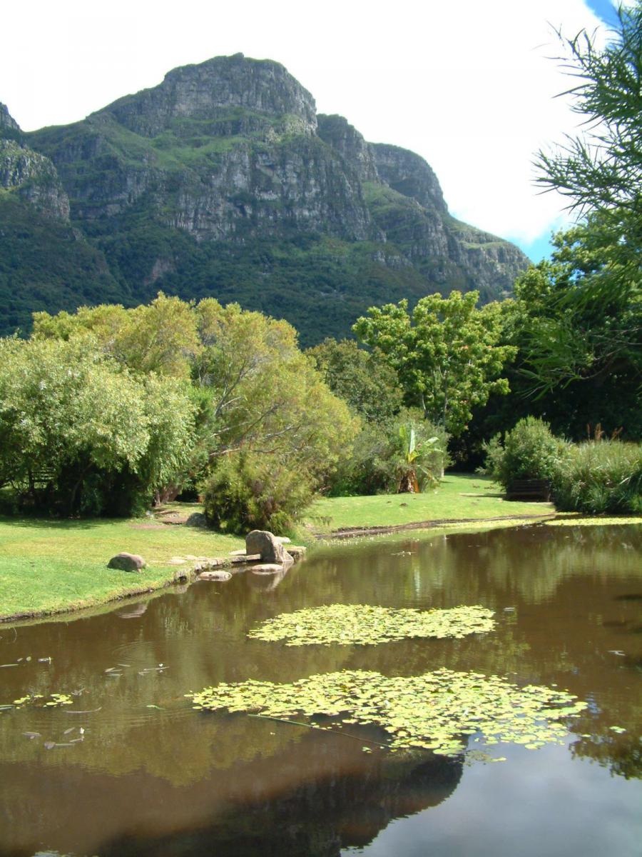 im Botanischen Garten von Kirstenbosch