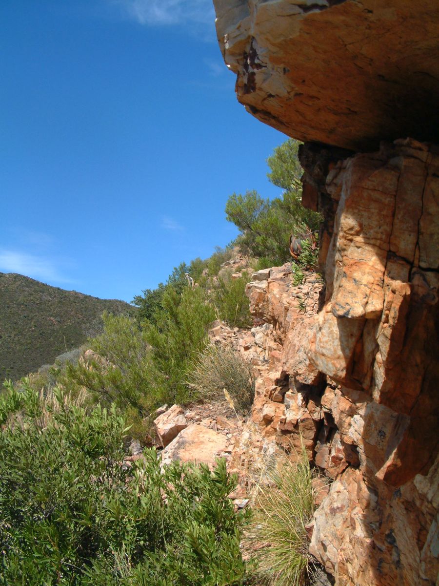 Wanderung um Barrydale