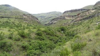 Golden Gate Highlands Park