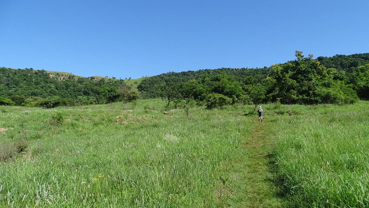 Aufstieg auf den Hügel "Vryheid Hill" mit seinem Naturschutzgebiet